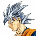 The DBS Server