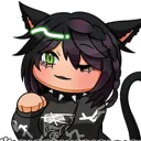 kitty cat cat kitty cat