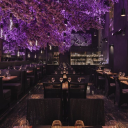 𝐌𝐎𝐎𝐍𝐋𝐈𝐆𝐇𝐓 𝐂𝐀𝐅𝐄 Discord server icon