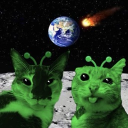 Meowter Space