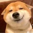 すぷ民鯖