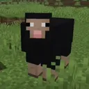 The Black Sheep