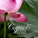 Corpus Et Anima: A Catholic Mental Health Server
