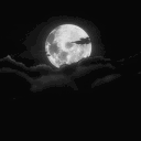 Midnight Discord server icon