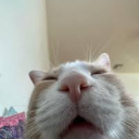 Kaddenation Discord server icon