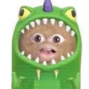 PATATOR CITY