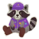 Raccoon Club Discord Server