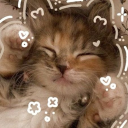 We luv gifs