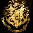 The Wizarding Common