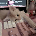 Sweethearts Discord server icon