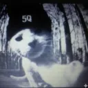 .gg/5q