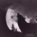 moonlit muzzles