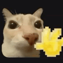 𝖳𝗋𝗎𝖾𝖡𝖾𝗌𝗍𝗂𝖾𝗌