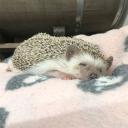 :3 Discord server icon