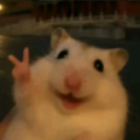 Silly Town | Hangout • Voice Chat • Social Discord server icon