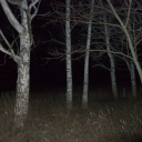 The Deal Discord server icon