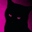 Server icon for ari's backroom display