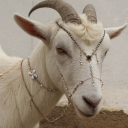 Sabbath Discord server icon