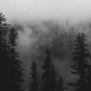 ☆彡 𝐎𝐧𝐞 𝐍𝐢𝐠𝐡𝐭 𝐭𝐨 𝐒𝐮𝐫𝐯𝐢𝐯𝐞 ☆彡 Discord server icon