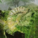 𝕱𝖔𝖗𝖊𝖘𝖙