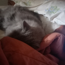 Nagoya hills Discord server icon