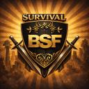 BSF - Blinganzian Safety Force