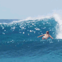 𝕎𝕖𝕤𝕥𝕡𝕠𝕣𝕥 Discord server icon