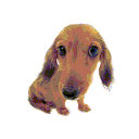 Novas Lounge Discord server icon