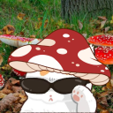 $𝚌нʀѻѻм Discord server icon