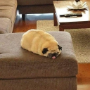 Glowing Wide Awake Discord server icon