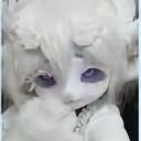 Cutesyfurrettes ᗜ⩊ᗜ