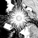 Black Paradox