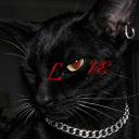 𝓜𝓲𝓼𝓯𝓲𝓽 𝓱𝓪𝓿𝓮𝓷 Discord server icon