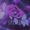 ᴏʀᴄʜɪᴅ ˖᯽ ݁˖ Discord server icon