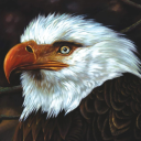 Mogwai Discord server icon