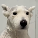 가나디