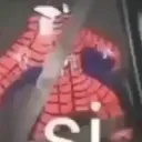 La bandita del spider