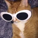 𓆩The Chaos Committee𓆪 Discord server icon