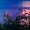 𝙙𝙚𝙣 𝙤𝙛 𝙖𝙣𝙜𝙚𝙡𝙨