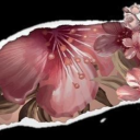 밤하늘 : 夜天 Discord server icon