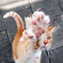 ꒰ ۪ ֺ ੭ the spirit of⑅݂the afterburn   ᚐ  ׁ° ۪۪ Discord server icon