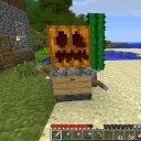 Sanic Survival