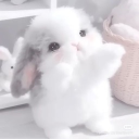 23+ age regressor looking for cg! Discord server icon