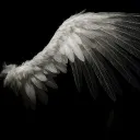 ＡＮＧＥＬＳ ＧＡＴＥ Discord Server Icon