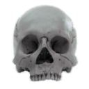 𝗗𝖺𝗒𝗌 𝗚𝗈𝗇𝖾 𝗕𝗒 Discord server icon