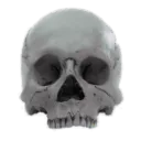 𝗗𝖺𝗒𝗌 𝗚𝗈𝗇𝖾 𝗕𝗒