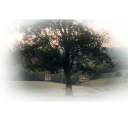 －ძᥲᥡs g᥆ᥒᥱ ᑲᥡ ．． Discord server icon