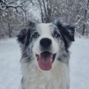 🐾 Over the Rainbow 🌈 Discord server icon