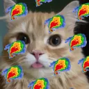 Stupercell’s Supercells