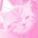 ☆⋆˙Stargirls˙⋆☆